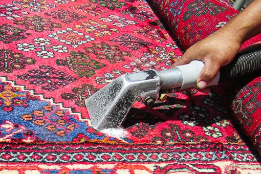 Rugs being cleaned at the Somerset West factory