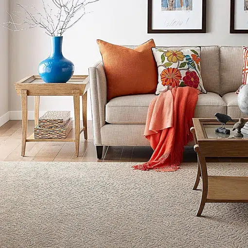 Whistle Steam Cleaners technician cleaning a carpet